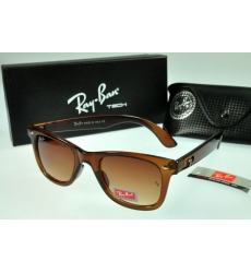 Ray-ban Glasses-1452